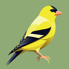 a-vibrant--stylized-illustration-of-an-american-go silhouette vector design .eps © Ruhul