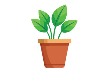 Green plant with leaves growing inside of an orange pot on white