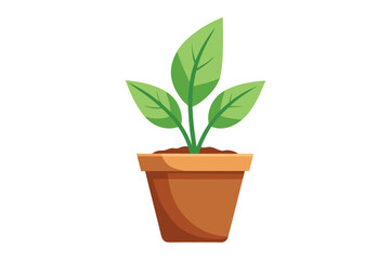 A potted plant with green leaves is illustrated, standing against a white background