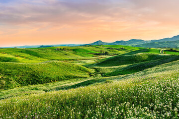 green flowering spring hills in countryside valley with rustic village road among blossoming grasslands leading far away to a sunset landscape in summer season