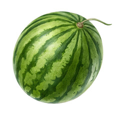 xigua isolated on transparent background