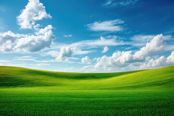Obraz premium Expansive green field under a vibrant blue sky