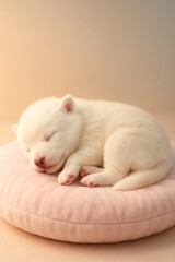Adorable Sleeping Pup on Pink Cushion