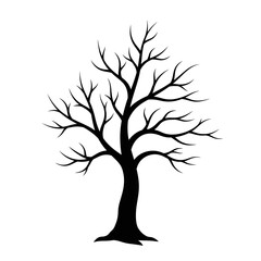 Obraz premium Bare Tree Silhouette Stark Beauty of a Leafless Tree Against a White Backdrop
