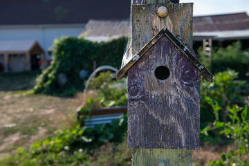 Rustic wood bird house on farm on a summer's day waits for an avian visitor.