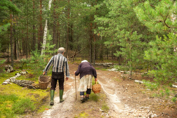 Elderly rural man with gray hair and very old stooped woman walking along a forest path with a...