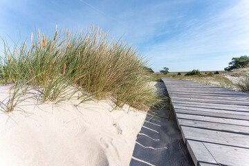 Beautiful view of Vorpommersche Boddenlandschaft National Park on Fischland Darß Zingst peninsula...