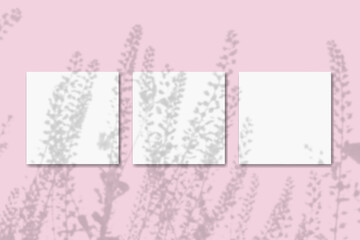 Natural light casts shadows from the field grass on 3 square sheets of white paper lying on a pink background. Mockup