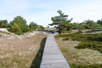 Coastal beauty of Vorpommersche Boddenlandschaft National Park on Fischland Darß Zingst peninsula in Baltic Sea region of Mecklenburg Western Pomerania Germany