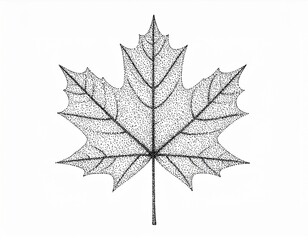 Fototapeta premium Minimalist Graphic Rendering of a Solitary Maple Leaf on Plain White Backdrop
