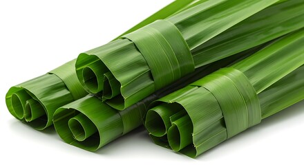 緑の束縛、春の息吹