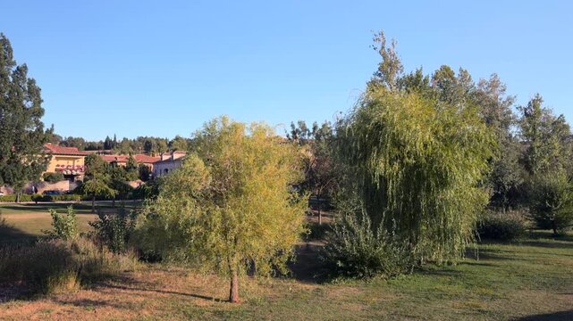 Willow and other trees swaying gently in El Burgo de Osma