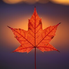 Obraz premium 夕焼けの銘刻