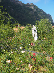 North of the island in Sao Jorge