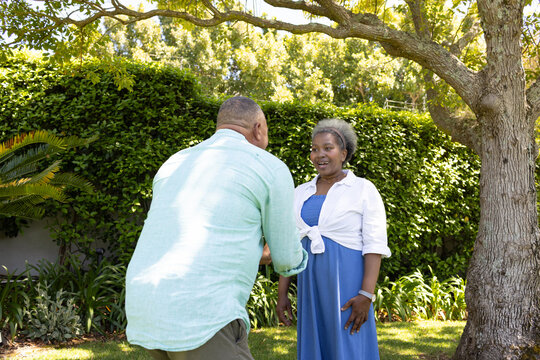 Senior couple enjoying conversation under tree in sunny garden, smiling warmly
