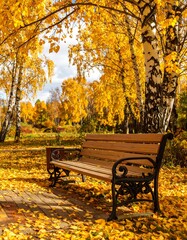 Autumn park bench scene (2)
