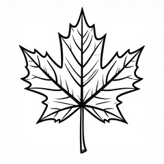 Fototapeta premium Detailed Black and White Maple Leaf Illustration with Intricate Veins and Edges