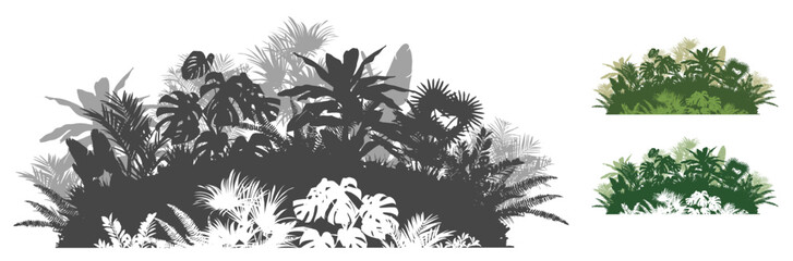Tropical Plants and Leaves for Your Design. Three Color Options