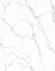 Obraz premium Elegant White Marble Texture with Gray Veins Seamless Stone Surface for Interior Design and Decoration