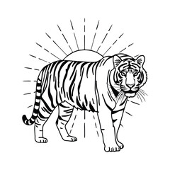 black and white illustration, tiger, animal, wildlife, nature, fierce, powerful, majestic, sun rays, sunburst, detailed line art, woodcut style

