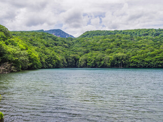 	【青森県】十和田市・蔦沼