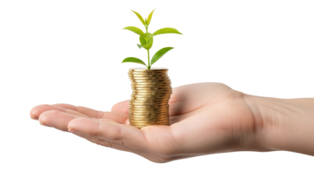 Hand Holding Stack of Coins With Sprout Isolated on Transparent PNG Background.