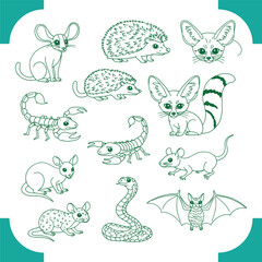 Collection of Desert Animals Illustrations Fennec Fox Scorpion Snake Hedgehog Mouse and Bat.