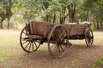 A wooden cart on a Brazilian farm