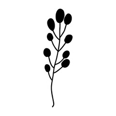 Minimalist Black Botanical Branch Illustration