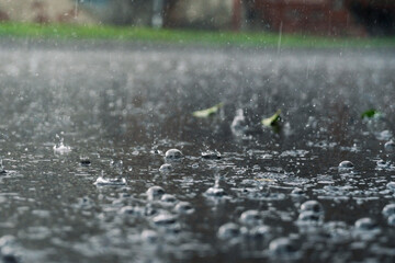 rain in the city, the flow of water along the city street during a downpour, bubbles, drops and...