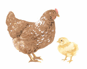 Watercolor illustration of a brown hen and a yellow chick