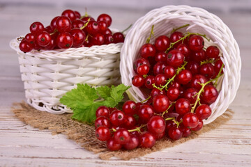 Red currant berries in a white basket. Close-up.
