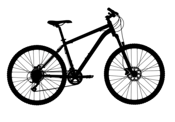 Night Sky Star Trails isolated on transparent background