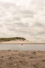Serene coastal view with sandy shore and overcast sky near a calm water body