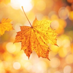 Fototapeta premium Close Up of a Vibrant Yellow Maple Leaf Against a Blurred Golden Autumnal Background