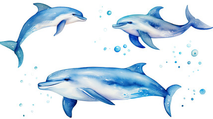 Title: Beautiful Set of Watercolor Dolphin Ornament Illustrations Isolated on White Background