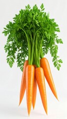 Five Fresh Orange Carrots with Green Leaves in a White Background Close Up Studio Shot