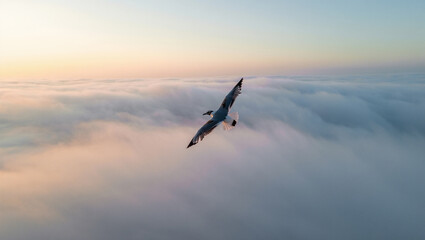 A bird of flight and freedom, soaring high above the clouds at dawn, reaching for endless possibilities.