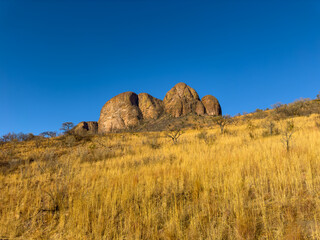 Marakele National Park in South Africa at sunset.
