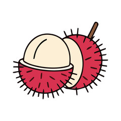 Fototapeta premium Rambutan Fruit Illustration Exotic Tropical Delight