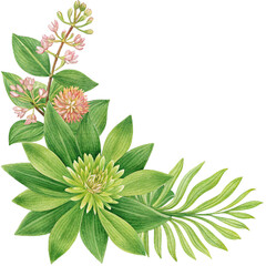 Watercolor butterfly illustration with orange and blue hues