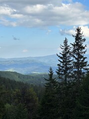 Panoramic view of the forest in the High Tatras mountains under a cloudy sky, Štrba, Poprad, Prešov, Slovakia, May 2024