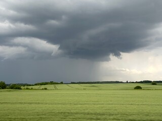 Obraz premium Dramatic rain storm clouds over a green field near Rosme, Iecava parish, Latvia, June 2024