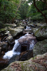 River full of huge rocks hidden in the forest, and water flows between stone, in New Taipei City, Taiwan.