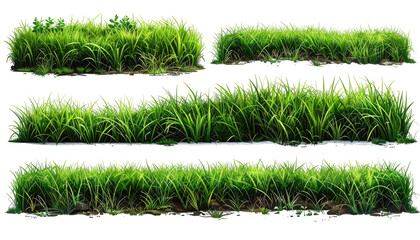 Five horizontal rows of vibrant green grass