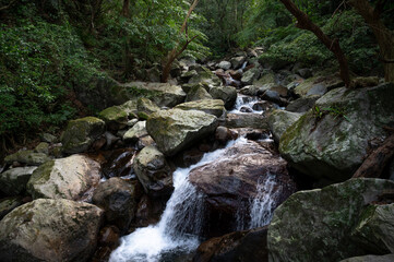 River full of huge rocks hidden in the forest, and water flows between stone, in New Taipei City, Taiwan.
