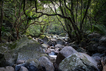 River full of huge rocks hidden in the forest, and water flows between stone, in New Taipei City, Taiwan.