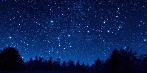 Obraz premium night sky with stars