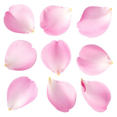 Nine delicate pink rose petals arranged in a grid