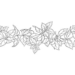 Peppermint Branch with Leaves Outline Horizontal Seamless Pattern. Essential oil ingredient for cosmetics, spa, aromatherapy, health care, alternative medicine. Vector isolated for design or decoratio